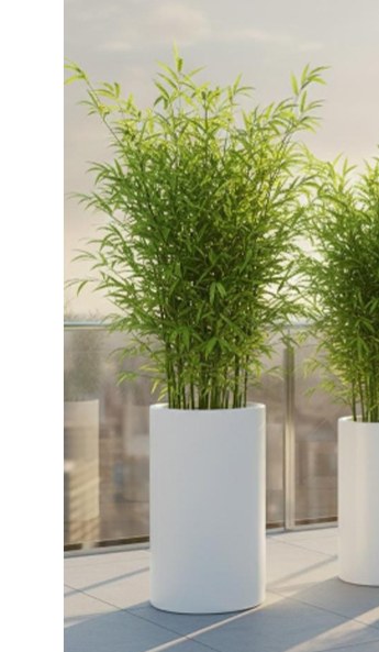 Cylindrical Planter Pot for Garden and Home, Wholesale Flower Pot by Phuldani