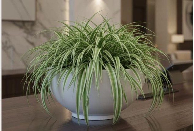 Planters and Pots, 20-Inch Top Diameter x 12-Inch Height, Gardening Supplies by Phuldani