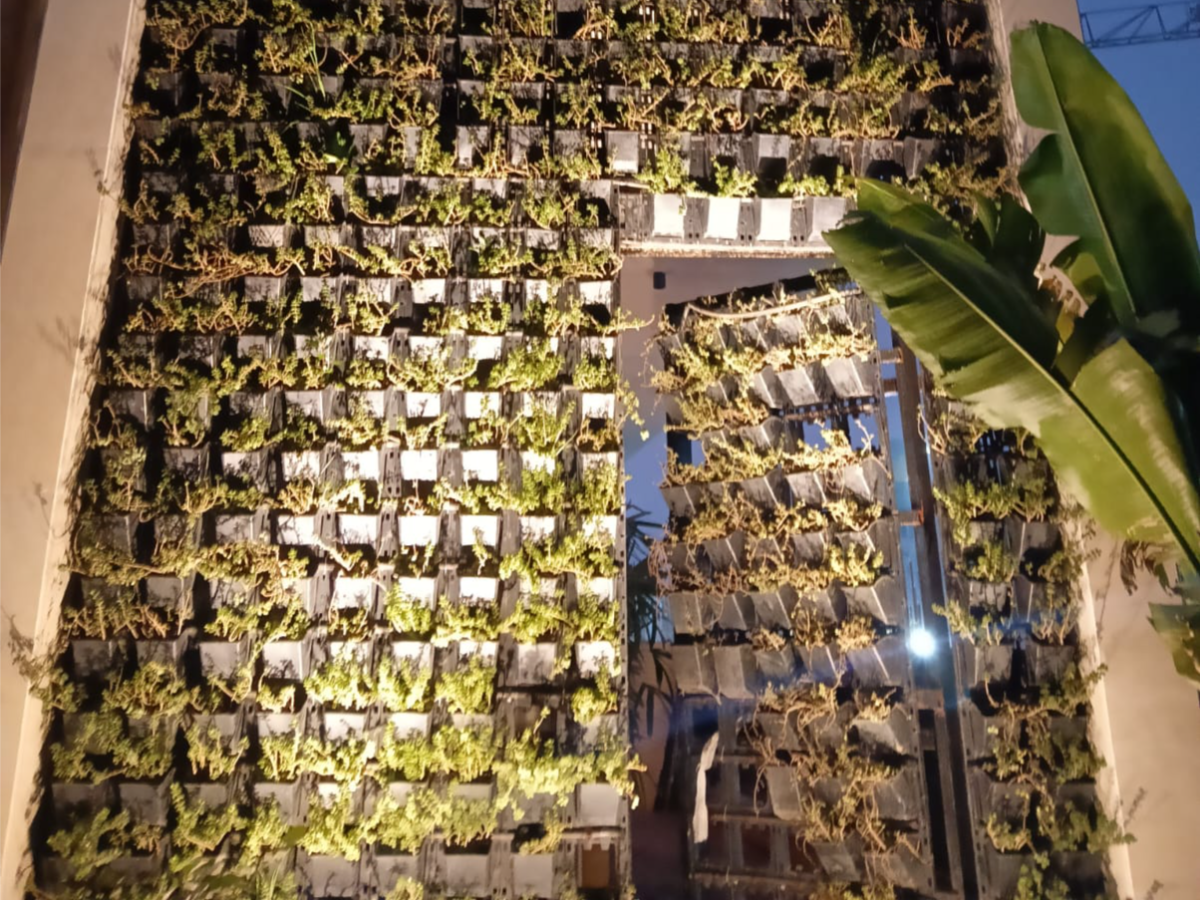 Project