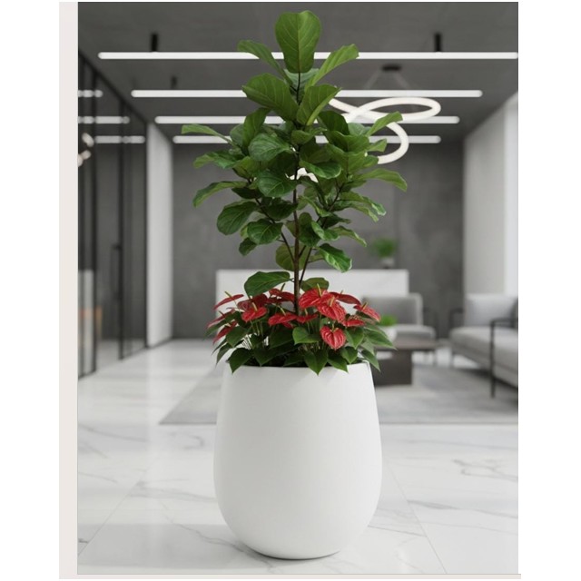 Garden Planter Pot for Plants and Flowers - Gardening Supplies by Phuldani